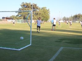 Προσαρμογή στα δεδομένα