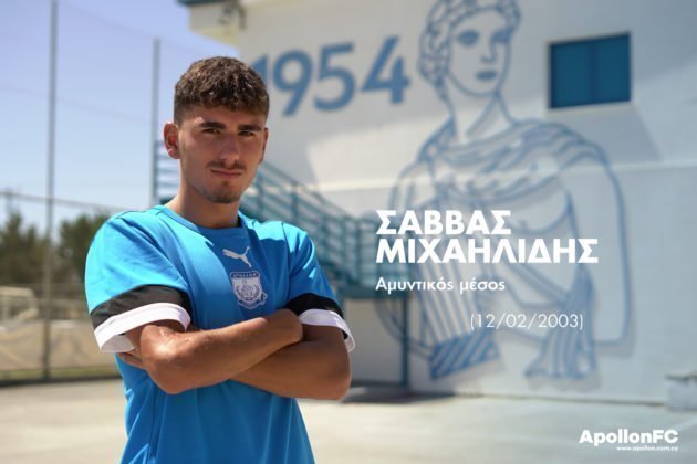 michaelides web