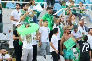 thumbnail preview 24