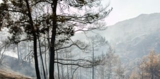 Αγ. Μάμας: Υπό μερικό έλεγχο η πυρκαγιά – Σε ισχύ και σήμερα το Ίκαρος 2