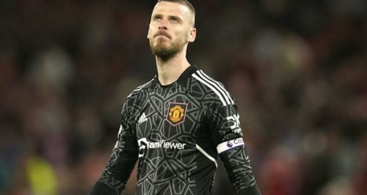 degea 105543