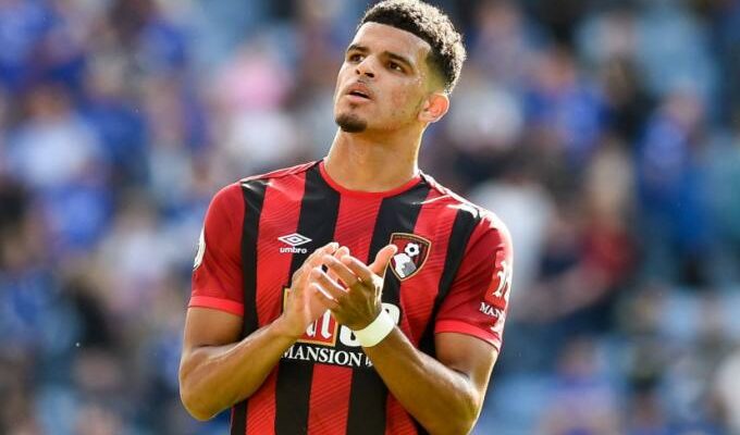 dominic solanke bournemouth 1589879907 390741