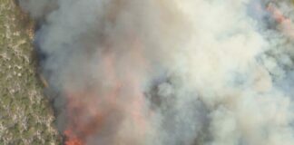 Συναγερμός στην Πυροσβεστική Λεμεσού -Πυρκαγιές σε Τριμίκλινη και Ανώγυρα