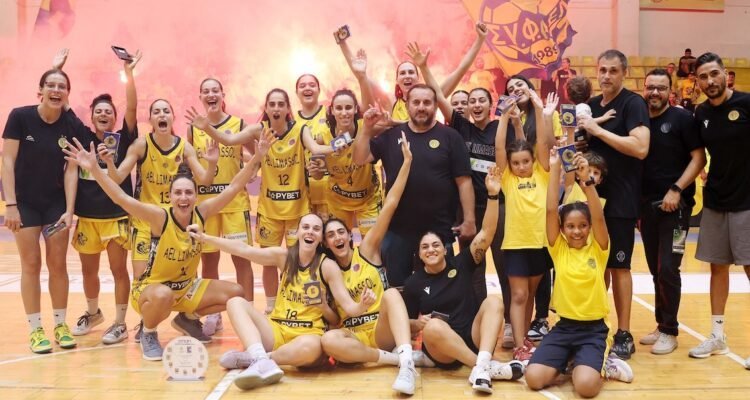 ael basket