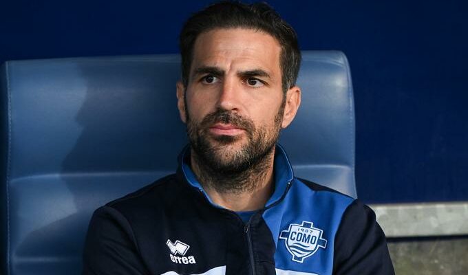cesc fabregas