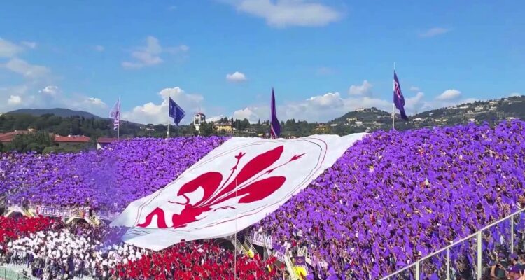 curva viola