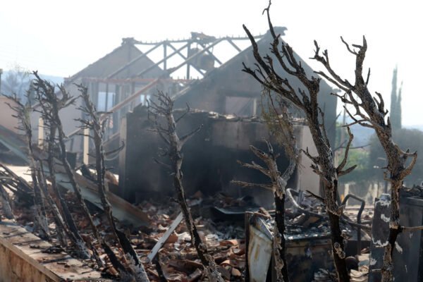 pirkagia 14 600x400 4YKfiR