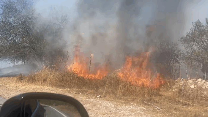 image 166 700x394 BHmtZ4