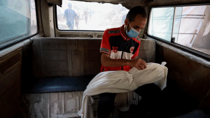 image 183 700x393 ZJYizd