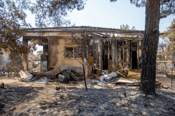 image 21 600x400 daAYMW