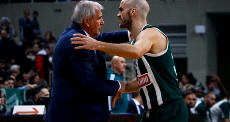 4645643 plagies 124145