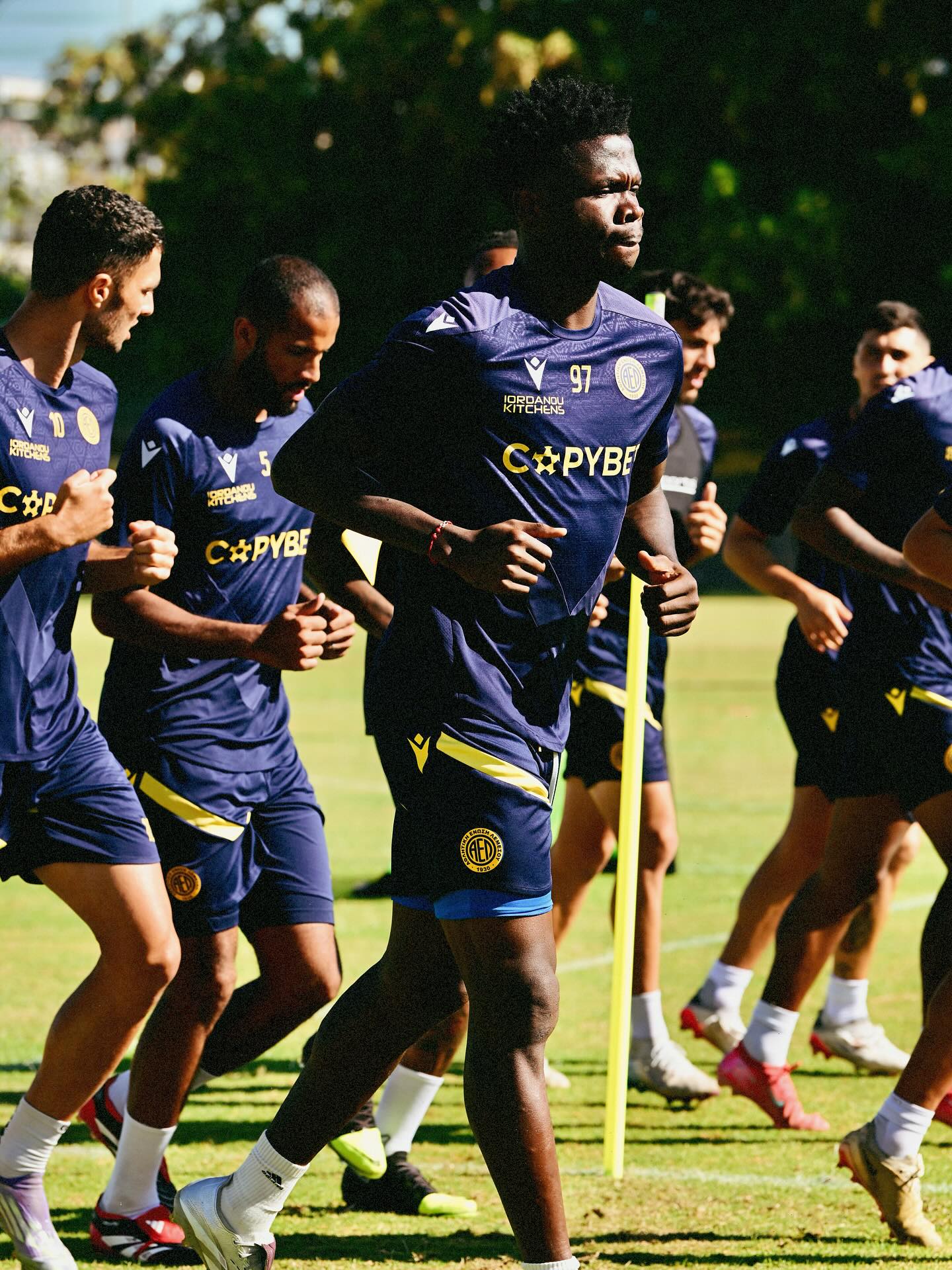 566423345 18528360931043866 2643851682672736559 n