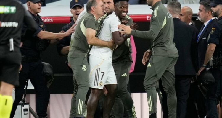 ap25299631799977 plagies 145852