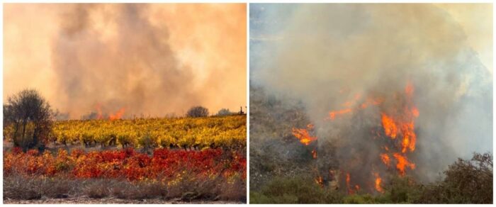 cache 1300x500 Analog medium 1353543 180714 25 11 23 163333 700x292 8OZGJJ