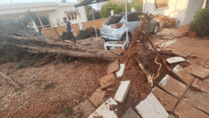 image 543 700x3941 1