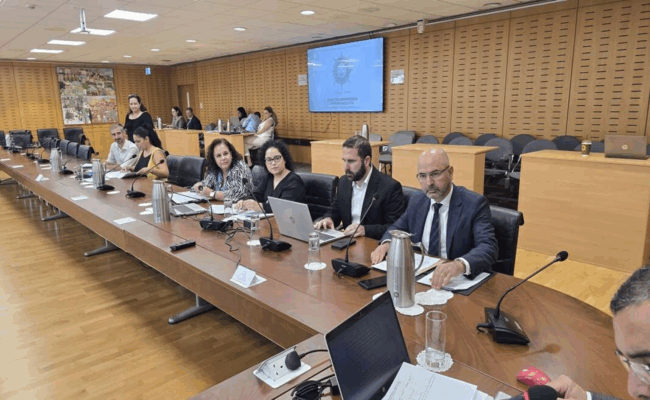 image 8 650x400 1Ej3T3