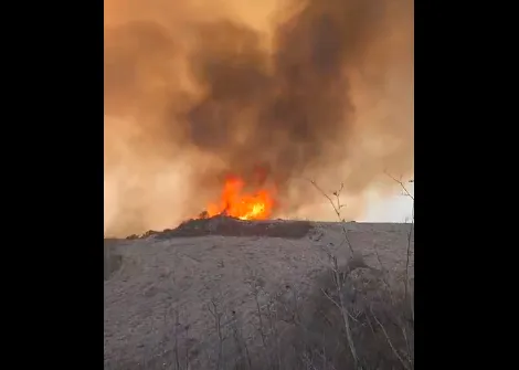 screenshot 2025 11 23 150629 thumb1 qlZmNY