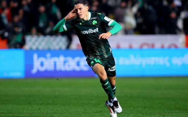 Stepinski Panigirismos 3