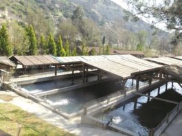 Το πόρισμα για τον Κούρη ξεσκεπάζει ξανά το καθεστώς διαφθοράς της δεκαετίας Αναστασιάδη – Επιβεβαιώνονται οι καταγγελίες του ΑΚΕΛ