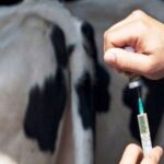 farmakaktiniatriaka 150x150 XGGzhR