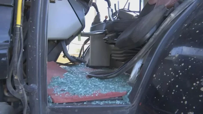 georgoi 1 1536x864 1 700x394 7gmtqT