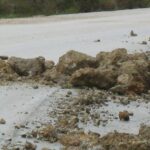 katolistheseis 150x150 wKYyOu