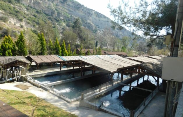 trimiklini 1920x1223 1 628x400 j9PWuJ