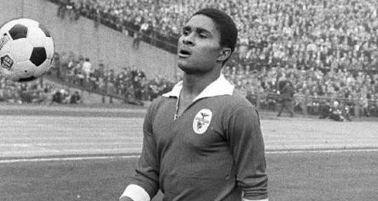 556575 22491445 2560 1440