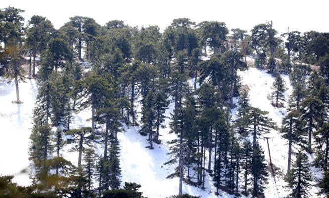 XIONIATROODOS 1 665x400 6PNYqv