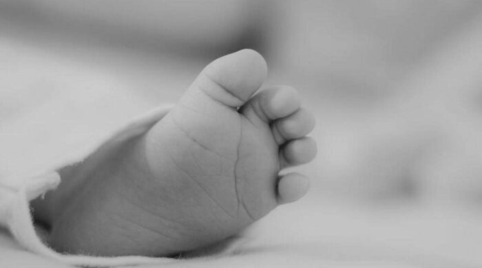 mwro vrefos 1200x668 1 700x390 DDptCk