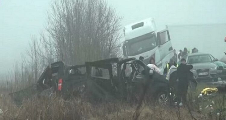 troxaio rouman 142039