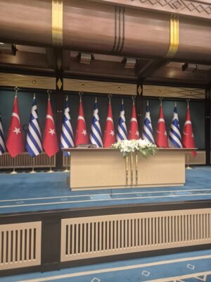 1000062791 1 300x400 fJiWGO