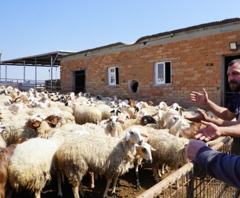 &Epsilon;&gamma;&iota;&nu;&alpha;&nu; 8 &chi;&iota;&lambda;. &epsilon;&mu;&beta;&omicron;&lambda;&iota;&alpha;&sigma;&mu;&omicron;ί, 28 &Phi;&epsilon;&beta;&rho;&omicron;&upsilon;&alpha;&rho;ί&omicron;&upsilon; &eta; &pi;&alpha;&rho;&alpha;&lambda;&alpha;&beta;ή &alpha;&pi;ό &Epsilon;&Epsilon;
