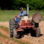 agrotes 5 768x5761 1 1 150x150 uBzaYf