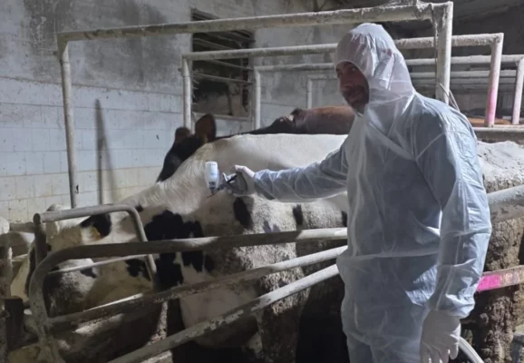 emvolia agelades1 578x400 aa20B7