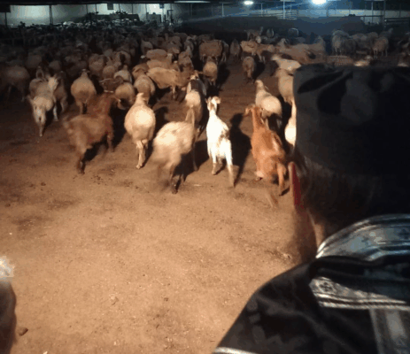 image 247 463x400 OZRB6Z