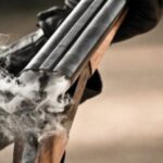 kinigetiko 1 150x150 YVvnEJ