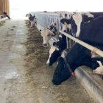 ktinotrofoi 150x150 j1plTC