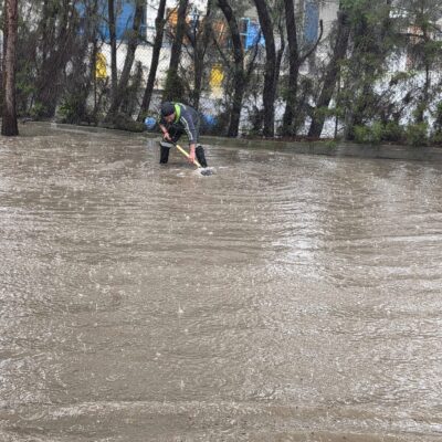 649232205 10162999902275770 2166797592444683199 n 400x400 sMc1kn