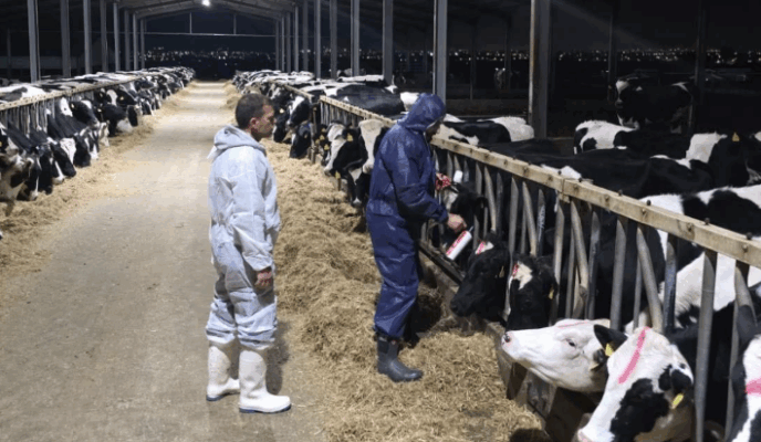 &Alpha;&phi;&theta;ώ&delta;&eta;&sigmaf; &Pi;&upsilon;&rho;&epsilon;&tau;ό&sigmaf;: &Sigma;&upsilon;&nu;&epsilon;&chi;ί&zeta;&omicron;&nu;&tau;&alpha;&iota; &iota;&chi;&nu;&eta;&lambda;&alpha;&tau;ή&sigma;&epsilon;&iota;&sigmaf;-&theta;&alpha;&nu;&alpha;&tau;ώ&sigma;&epsilon;&iota;&sigmaf;