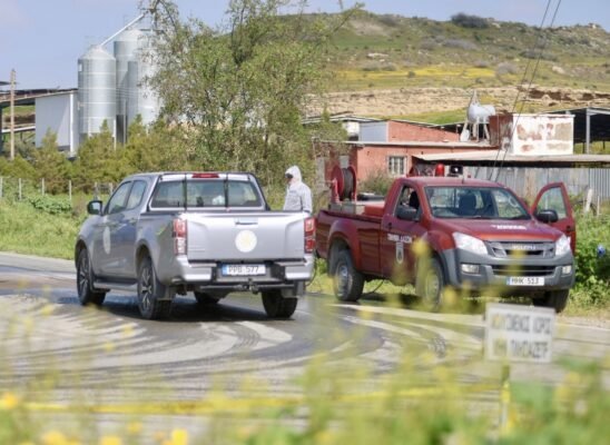 afthodisdali 4 548x400 QqR5XE