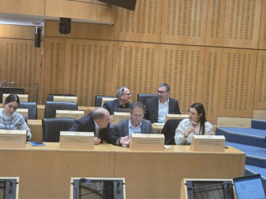 afthodisvouli 3 533x400 oiZcmH