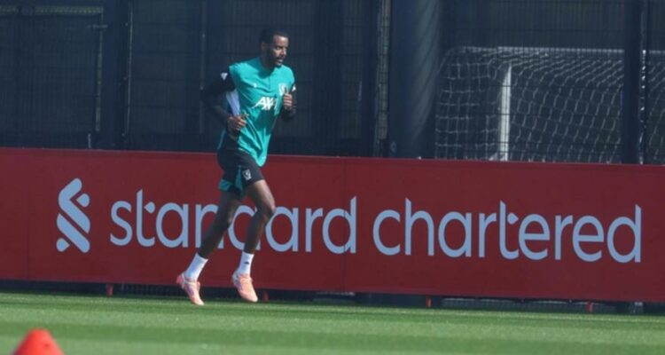 befunky photo 2026 03 17t171 172121