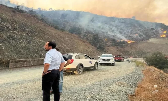 khristodoylidis large thumbnail1 667x400 DOFNSc