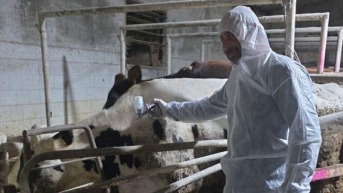 ktiniatroi afthodis pyuretos 768x4321 1 700x394 KARQSM