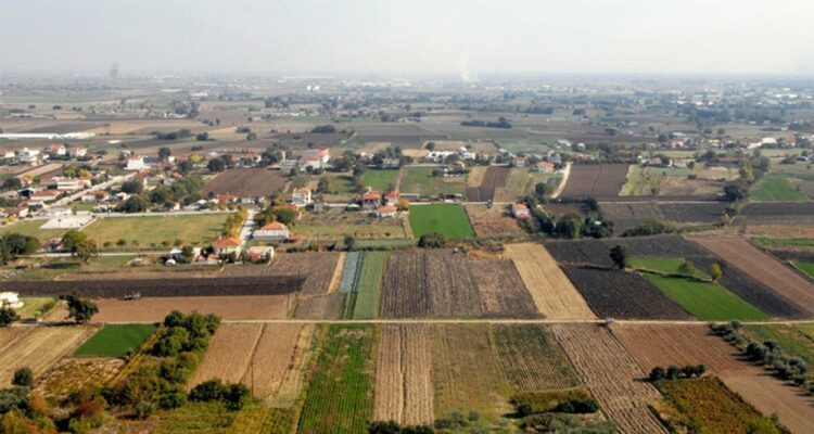 agrotemaxia000 aaNs7S