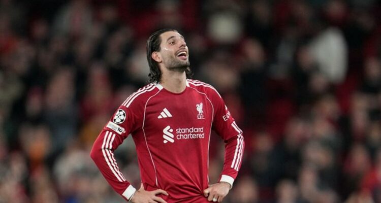 ap26077793864114 171515