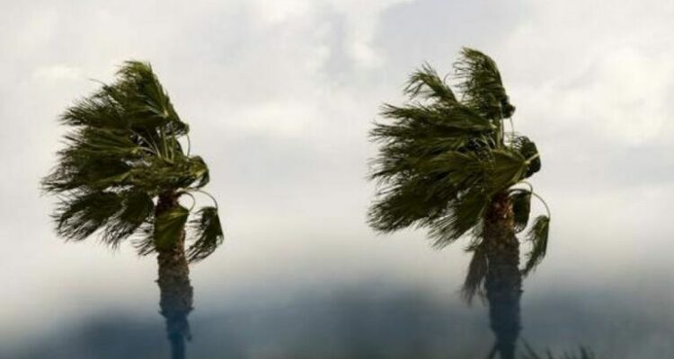 b anemoi kairos ID 1687044 768x4611 1 DZCcZ9