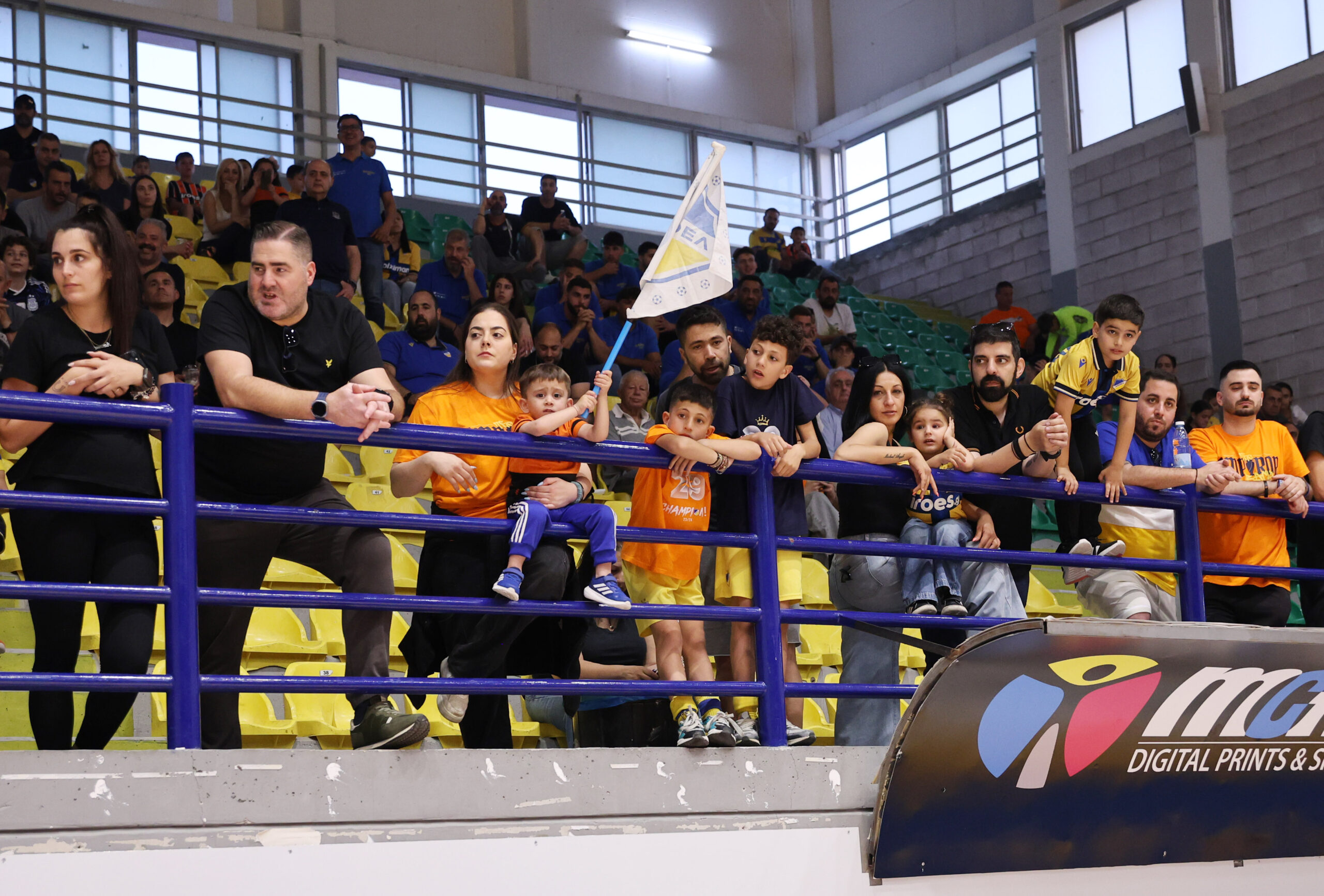 VIK 8379 scaled