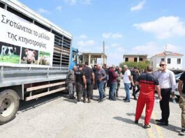 Κτηνοτρόφοι: Κρίσιμη η Δευτέρα για τις επόμενες αποφάσεις